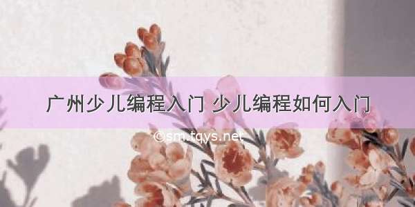 广州少儿编程入门 少儿编程如何入门