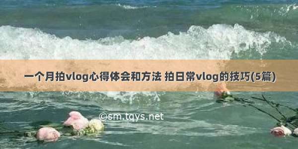 一个月拍vlog心得体会和方法 拍日常vlog的技巧(5篇)