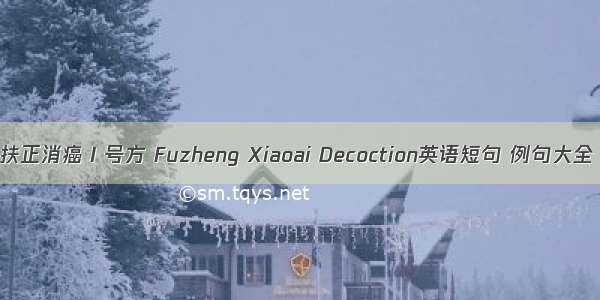 扶正消癌Ⅰ号方 Fuzheng Xiaoai Decoction英语短句 例句大全