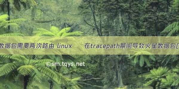 linux发送数据包需要两次路由 linux – 在tracepath期间导致火星数据包(目前为止)