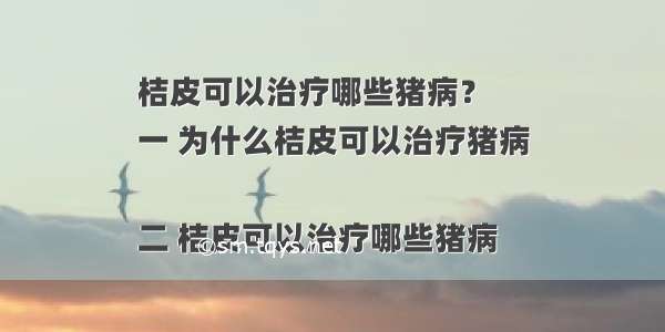 桔皮可以治疗哪些猪病？
一 为什么桔皮可以治疗猪病

二 桔皮可以治疗哪些猪病