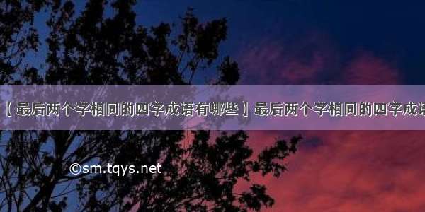 【最后两个字相同的四字成语有哪些】最后两个字相同的四字成语