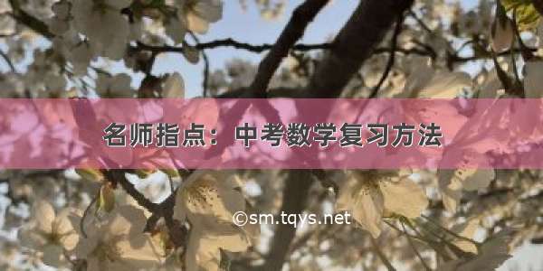 名师指点：中考数学复习方法