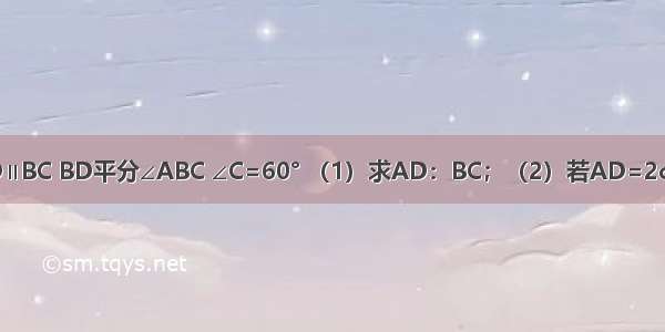 在等腰梯形ABCD中 AD∥BC BD平分∠ABC ∠C=60° （1）求AD：BC；（2）若AD=2cm 求梯形ABCD的面积．