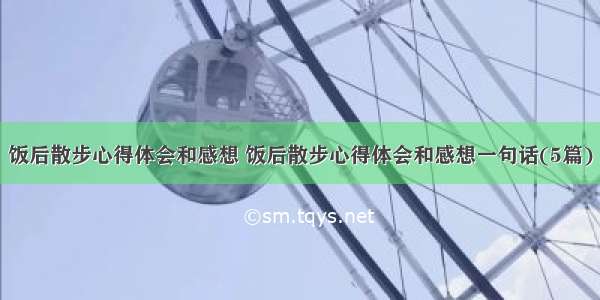 饭后散步心得体会和感想 饭后散步心得体会和感想一句话(5篇)