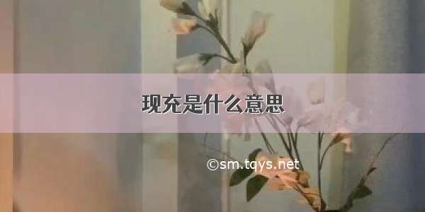 现充是什么意思