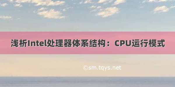 浅析Intel处理器体系结构：CPU运行模式