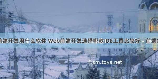 企业网站前端开发用什么软件 Web前端开发选择哪款IDE工具比较好 – 前端技术 – 前端