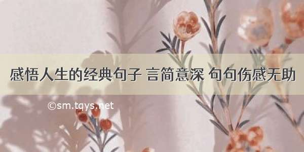 感悟人生的经典句子 言简意深 句句伤感无助