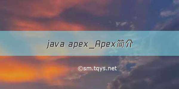 java apex_Apex简介