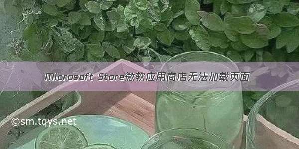 Microsoft Store微软应用商店无法加载页面