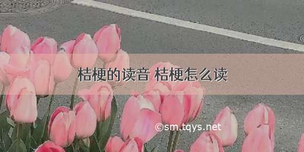 桔梗的读音 桔梗怎么读