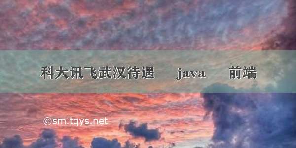 科大讯飞武汉待遇 – java – 前端