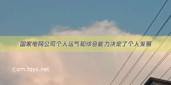 国家电网公司个人运气和综合能力决定了个人发展