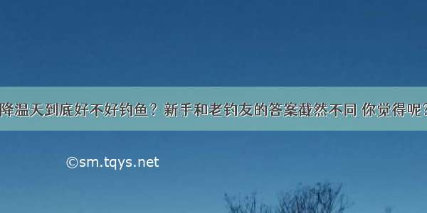 降温天到底好不好钓鱼？新手和老钓友的答案截然不同 你觉得呢？