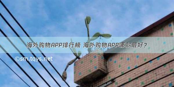 海外购物APP排行榜 海外购物APP哪款最好？