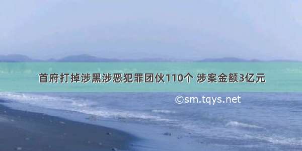 首府打掉涉黑涉恶犯罪团伙110个 涉案金额3亿元