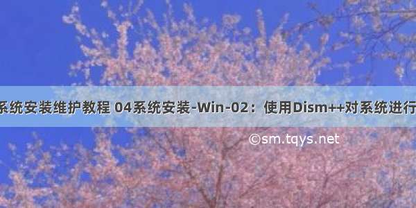 计算机硬件  系统安装维护教程 04系统安装-Win-02：使用Dism++对系统进行初始化前配置