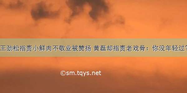 王劲松指责小鲜肉不敬业被赞扬 黄磊却指责老戏骨：你没年轻过？