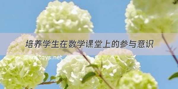 培养学生在数学课堂上的参与意识