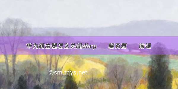 华为路由器怎么关闭dhcp – 服务器 – 前端