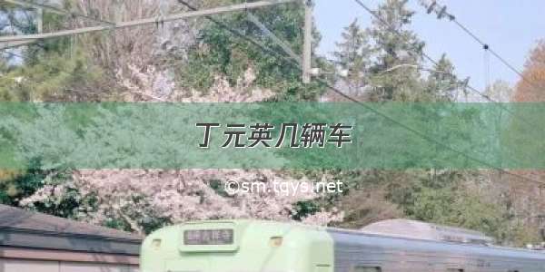 丁元英几辆车