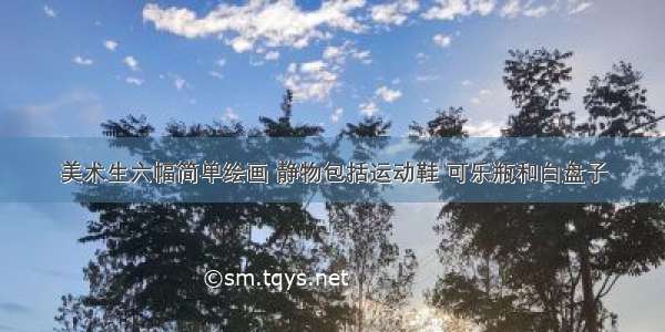 美术生六幅简单绘画 静物包括运动鞋 可乐瓶和白盘子