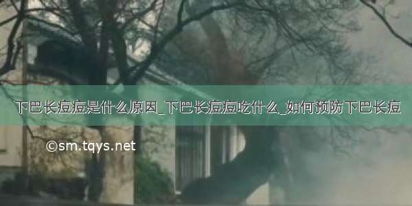 下巴长痘痘是什么原因_下巴长痘痘吃什么_如何预防下巴长痘