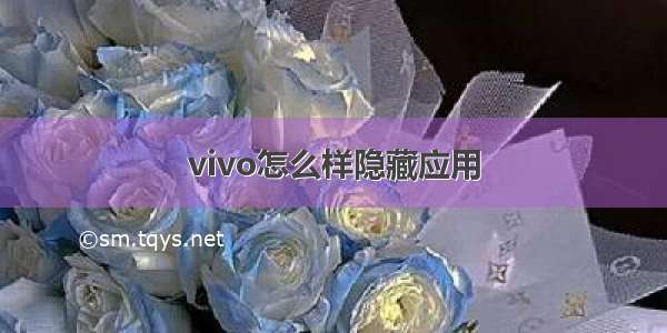 vivo怎么样隐藏应用