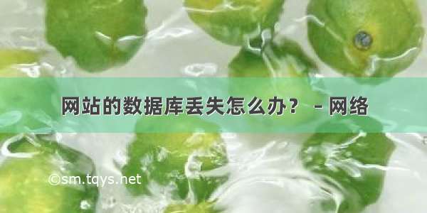 网站的数据库丢失怎么办？ – 网络