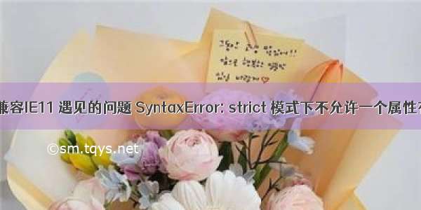 VUE项目兼容IE11 遇见的问题 SyntaxError: strict 模式下不允许一个属性有多个定