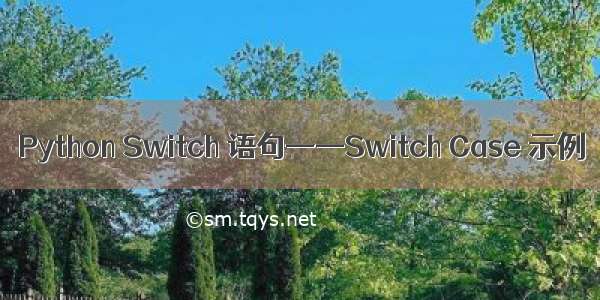 Python Switch 语句——Switch Case 示例