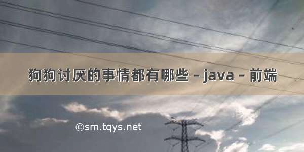 狗狗讨厌的事情都有哪些 – java – 前端