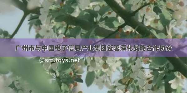 广州市与中国电子信息产业集团签署深化战略合作协议