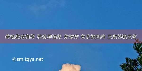 美味做法推荐 黄瓜拌油条 东坡肉 东北锅包肉 豆腐炒豌豆苗