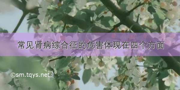 常见肾病综合征的危害体现在四个方面