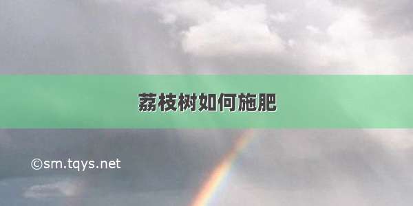 荔枝树如何施肥