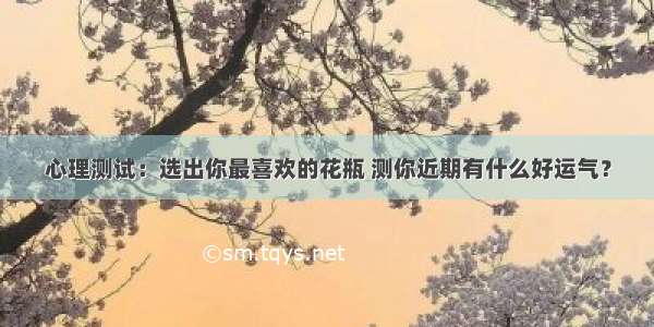 心理测试：选出你最喜欢的花瓶 测你近期有什么好运气？