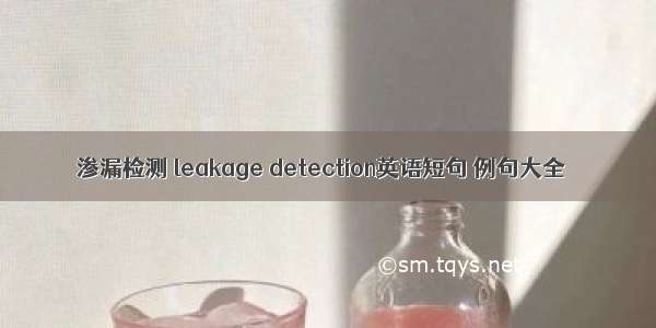 渗漏检测 leakage detection英语短句 例句大全