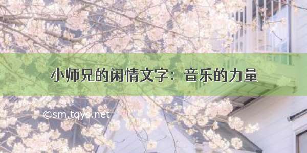 小师兄的闲情文字：音乐的力量