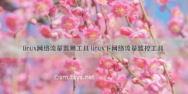 linux网络流量监测工具 linux下网络流量监控工具