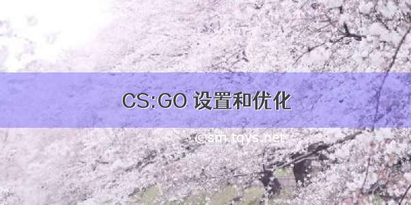 CS:GO 设置和优化