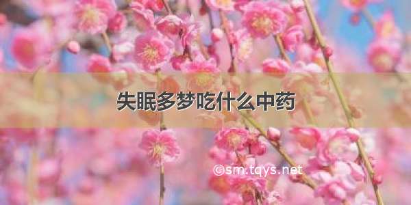 失眠多梦吃什么中药