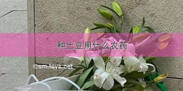 种土豆用什么农药