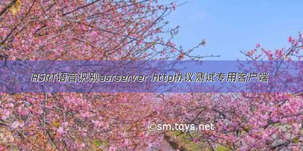 ASRT语音识别asrserver http协议测试专用客户端