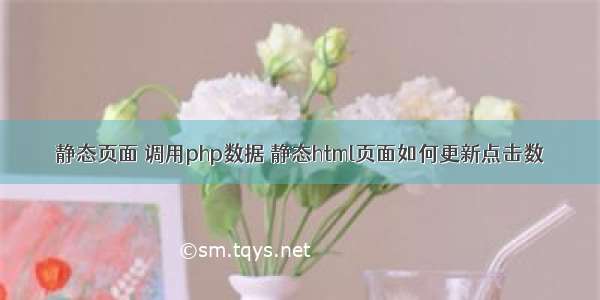 静态页面 调用php数据 静态html页面如何更新点击数