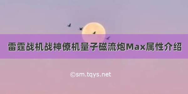 雷霆战机战神僚机量子磁流炮Max属性介绍