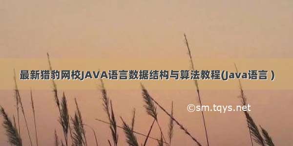 最新猎豹网校JAVA语言数据结构与算法教程(Java语言 )