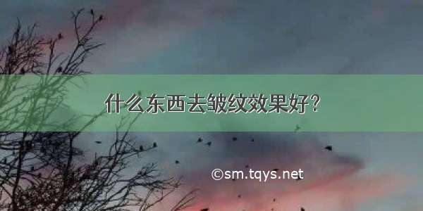 什么东西去皱纹效果好？