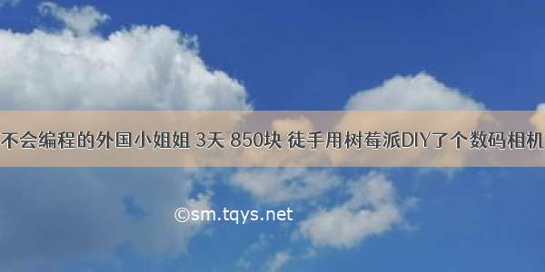 不会编程的外国小姐姐 3天 850块 徒手用树莓派DIY了个数码相机